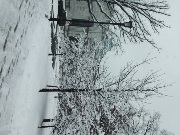 Processed with VSCOcam with se3 preset