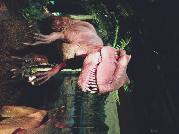 Processed with VSCOcam with m6 preset