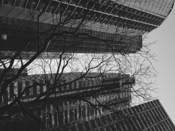 Processed with VSCOcam with b1 preset