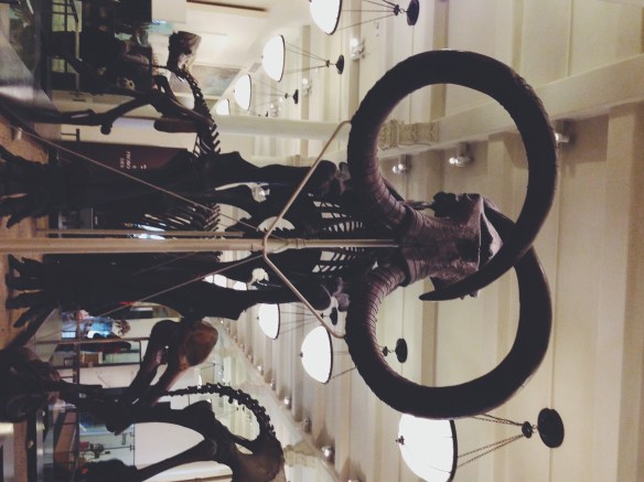 Processed with VSCOcam with f2 preset