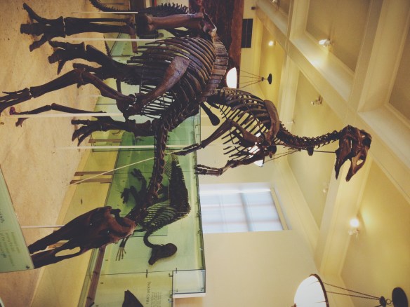 Processed with VSCOcam with f2 preset