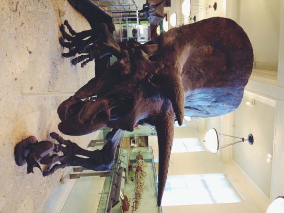 Processed with VSCOcam with f2 preset