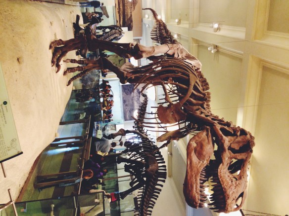 Processed with VSCOcam with f2 preset